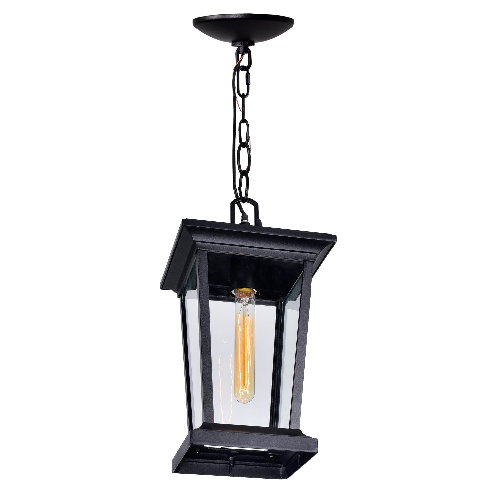 Leawood 1 Light Black Outdoor Hanging Light