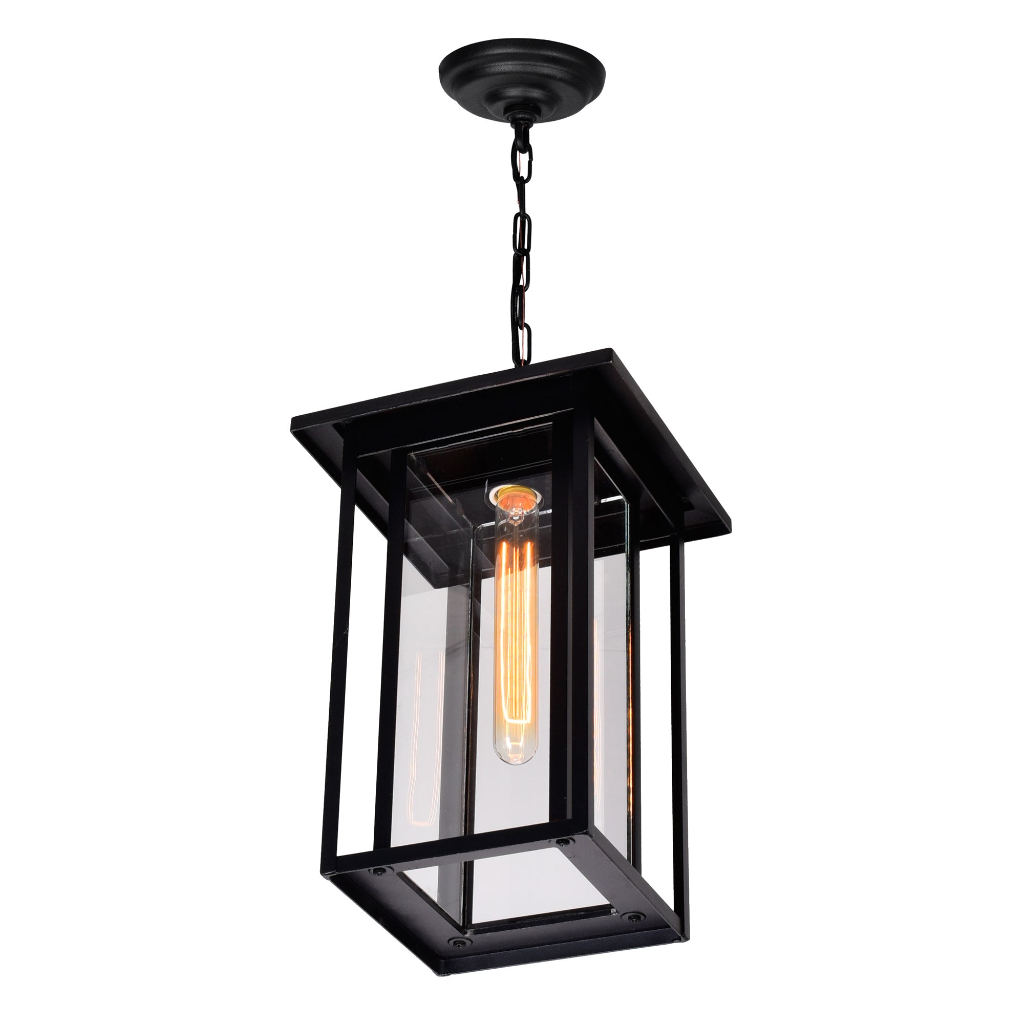 Crawford 1 Light Black Outdoor Pendant