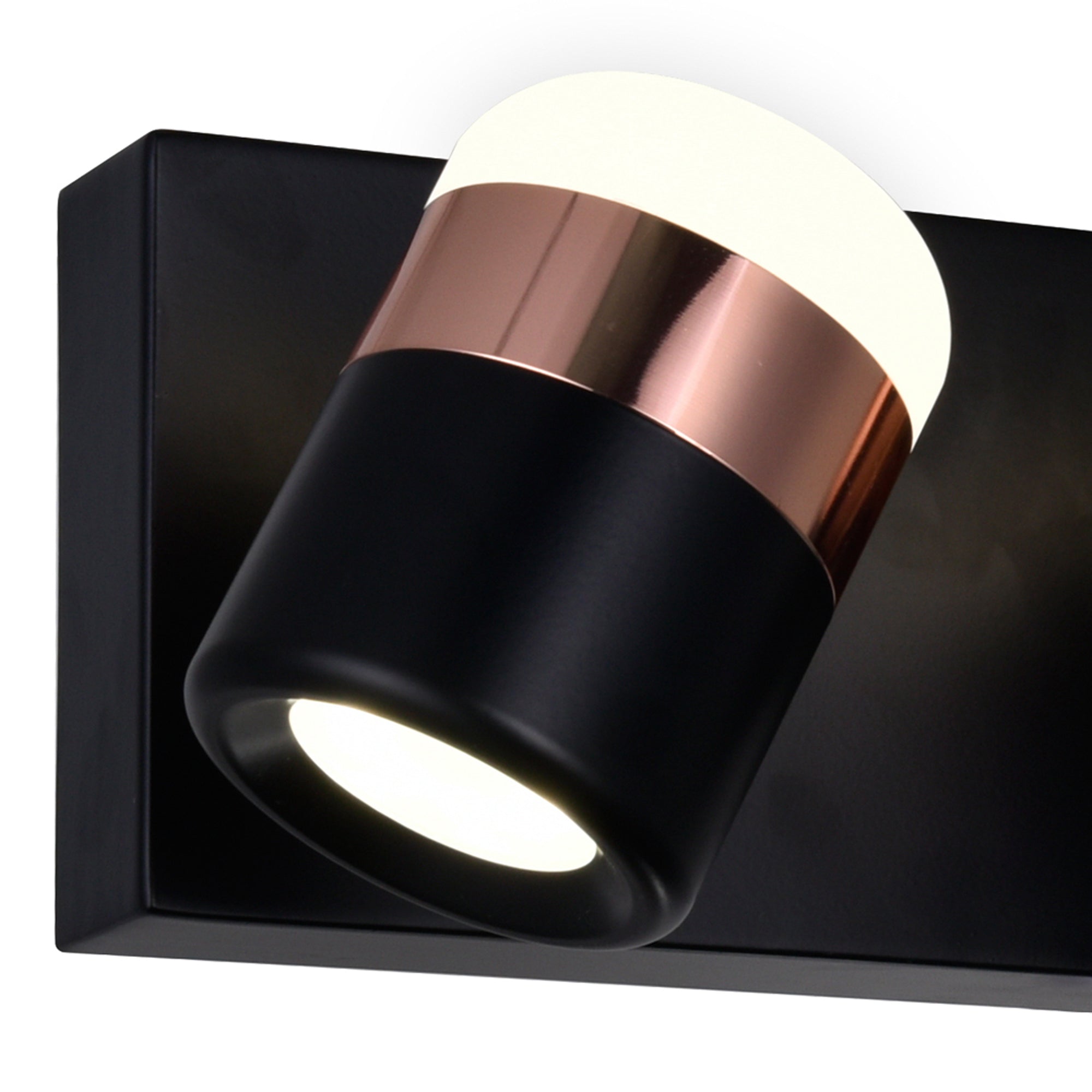 Moxie LED Vanity Light With Black Finish