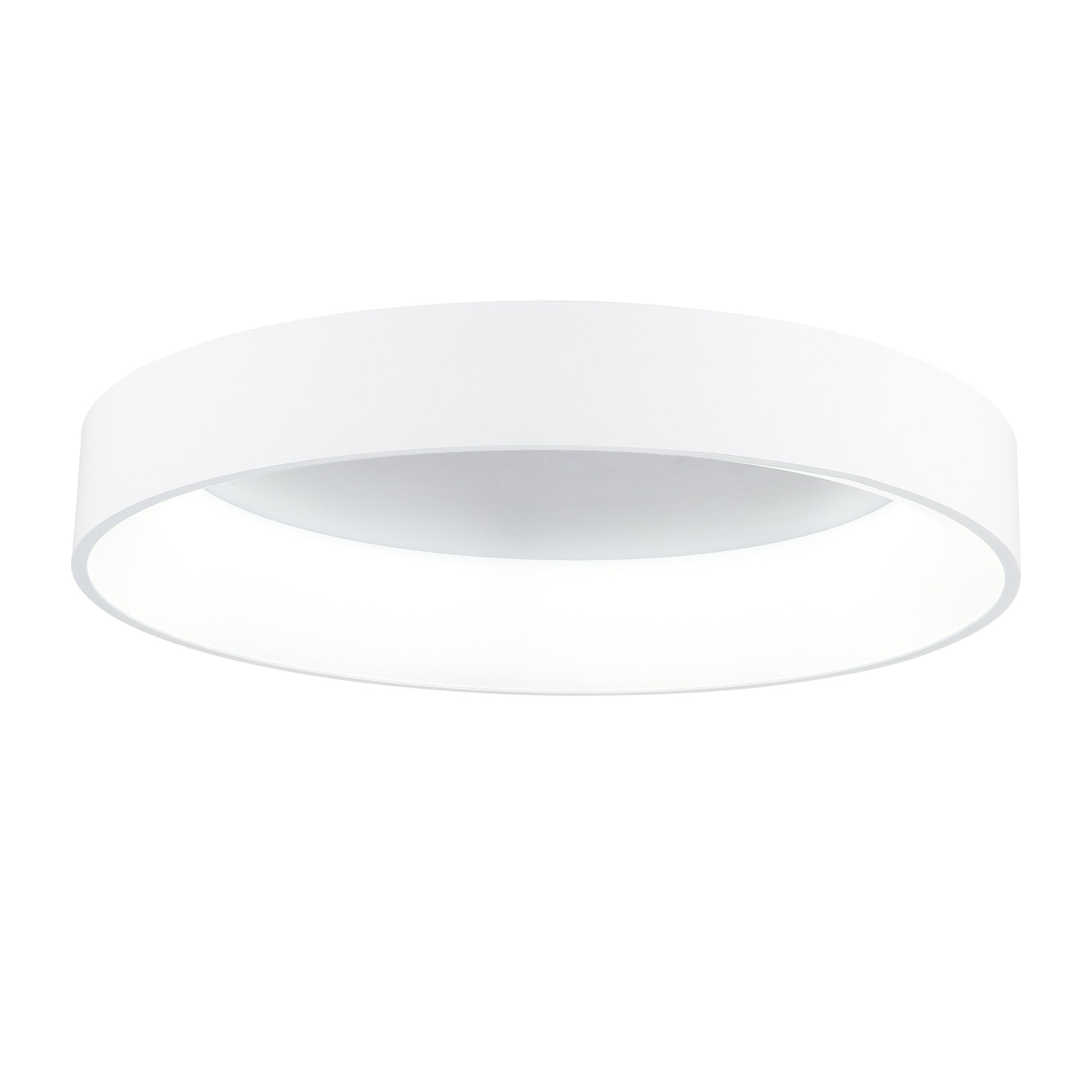 Arenal Integrated LED 24in White Flush Mount
