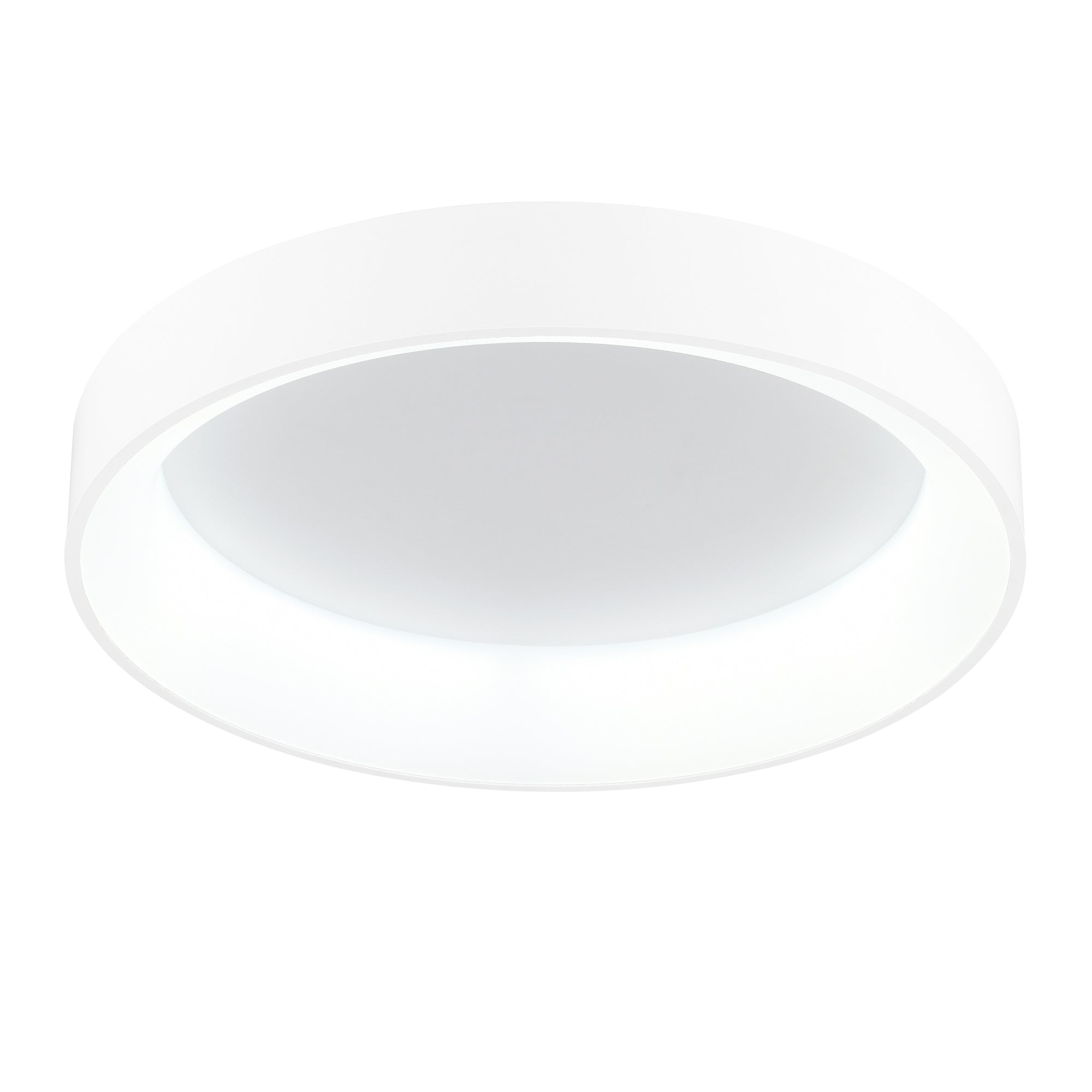 Arenal Integrated LED 24in White Flush Mount