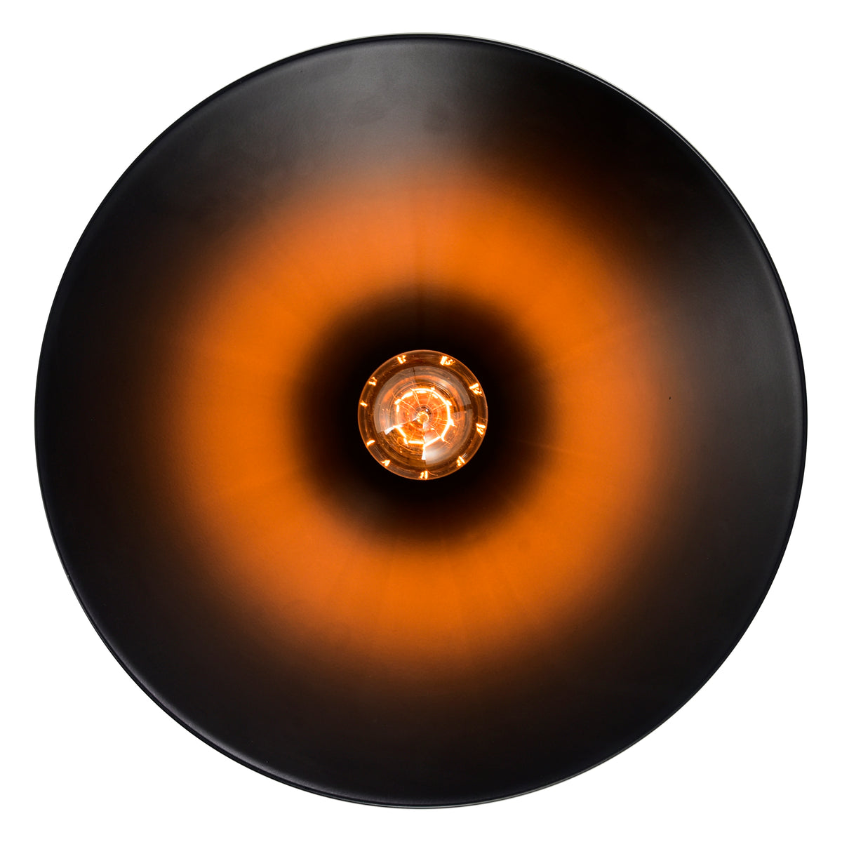 Brave 1 Light 12in Black Mini Pendant