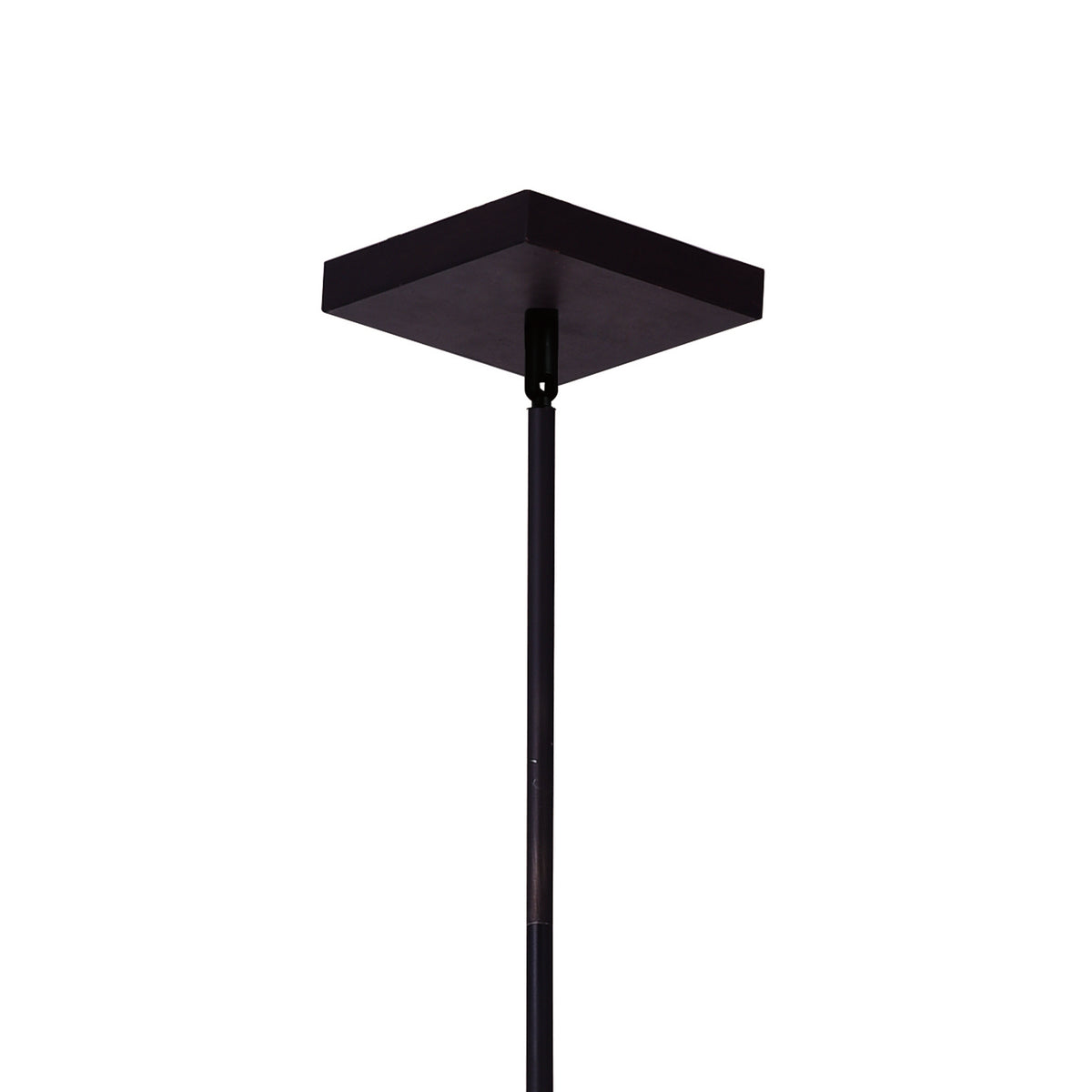 Assunta 10 Light Chandelier With Black Finish