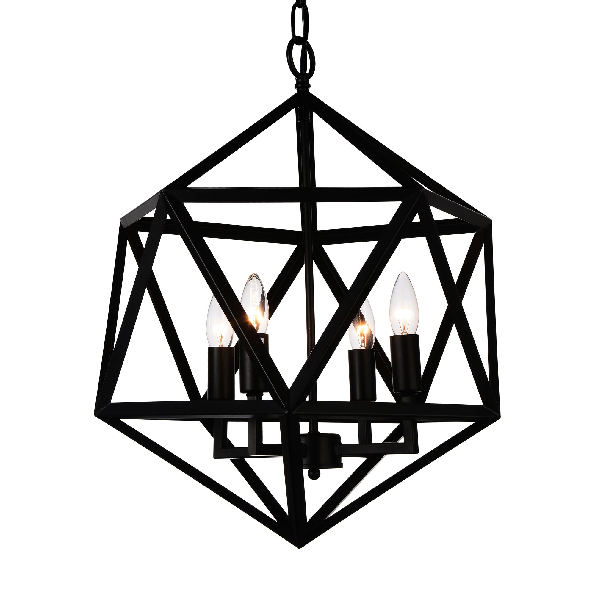 Amazon 4 Light Black Pendant - CWI Lighting