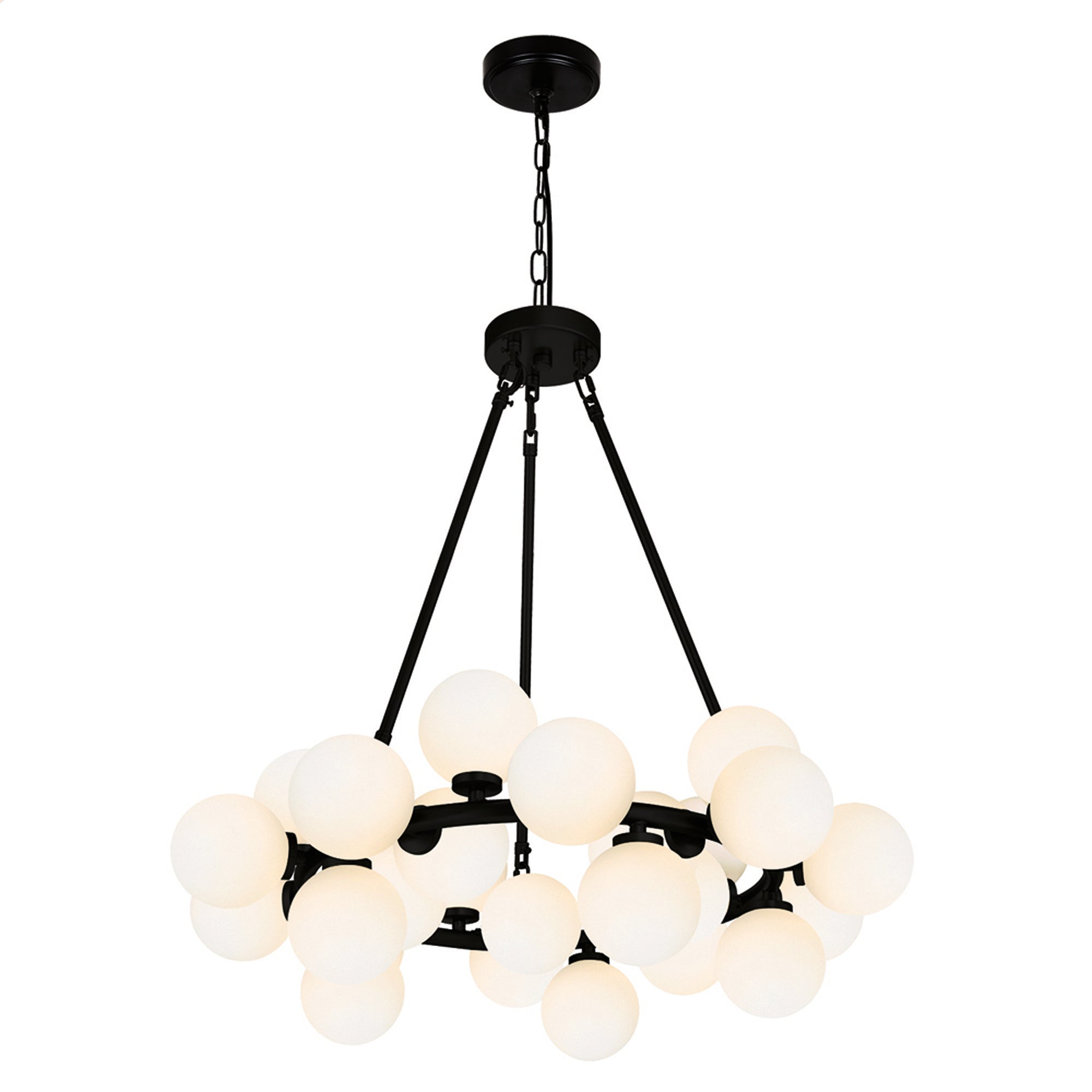Arya 25 Light Black Chandelier - CWI Lighting