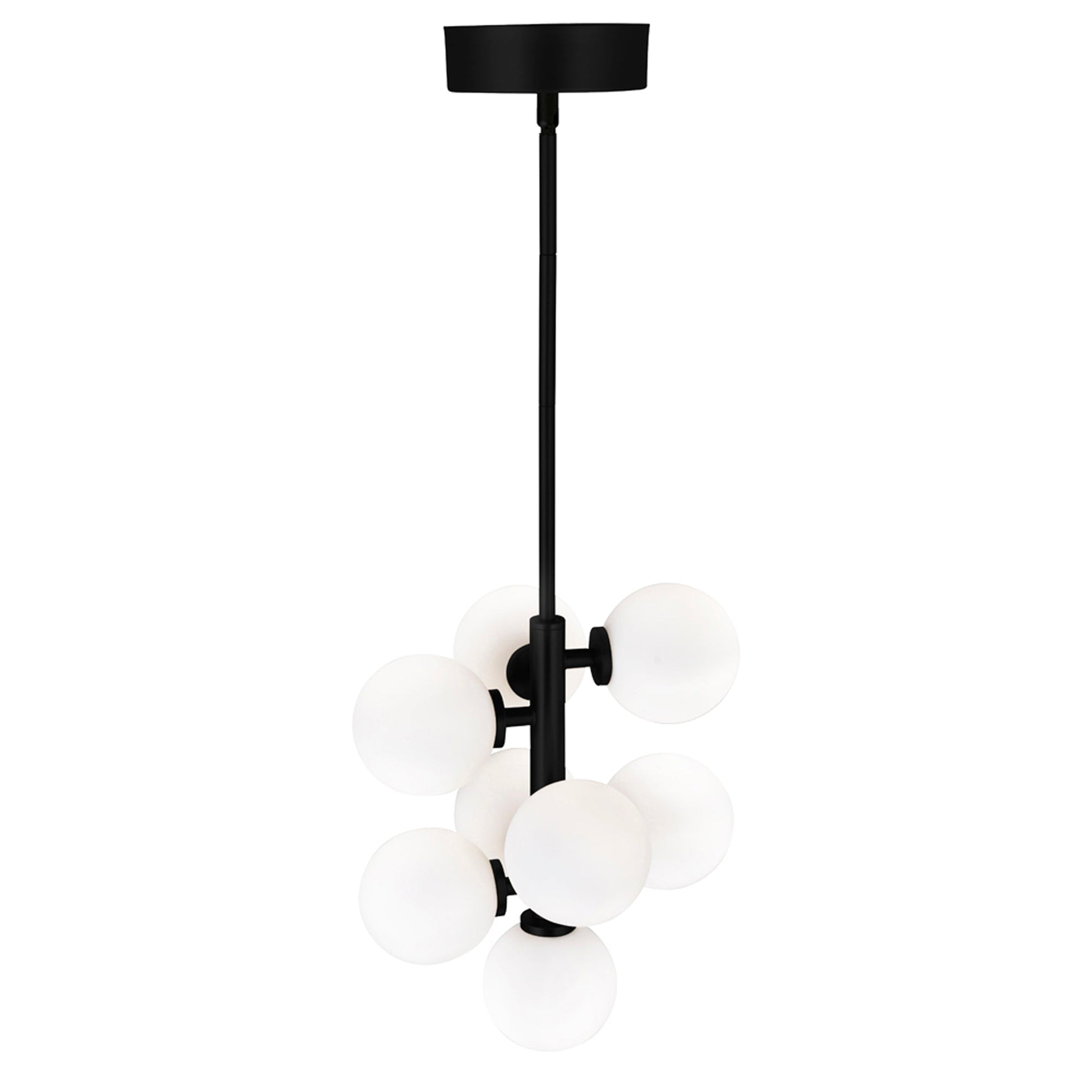 Arya 8 Light Black Pendant - CWI Lighting