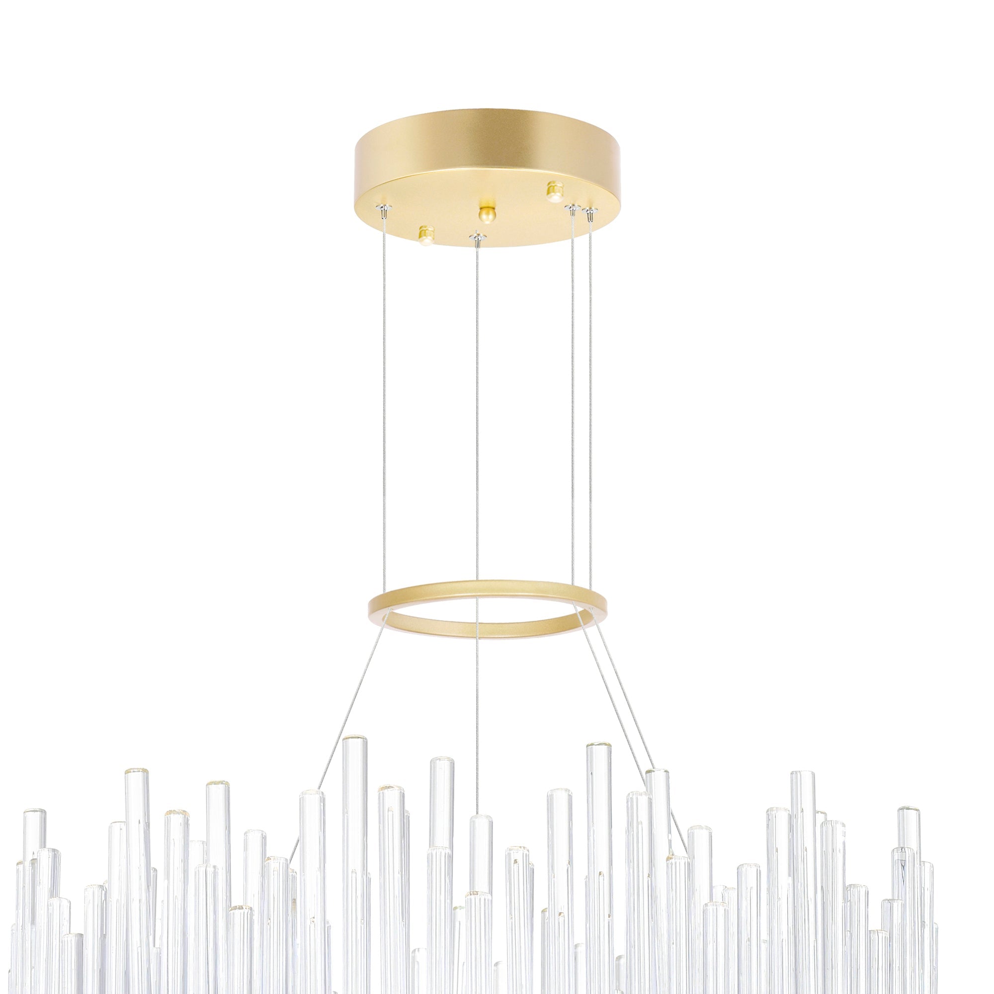 Genevieve Integrated LED 24in Medallion Gold Chandelier - CWI Lighting