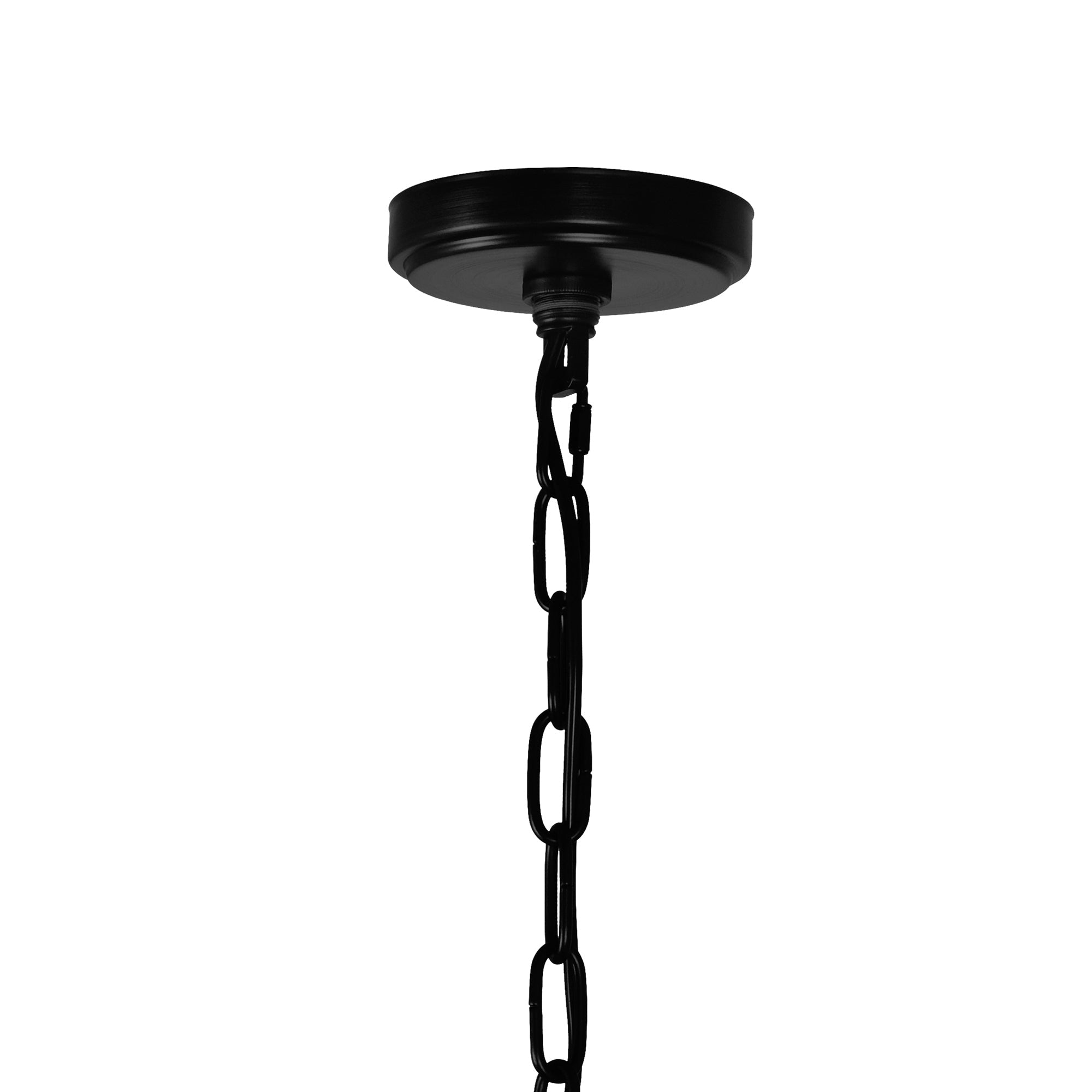 Padma 5 Light 21in Black Chandelier - CWI Lighting